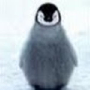 Meet your Posher, Lynn